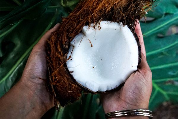 we love to use coconut for some of our massage and organic skin care specials
